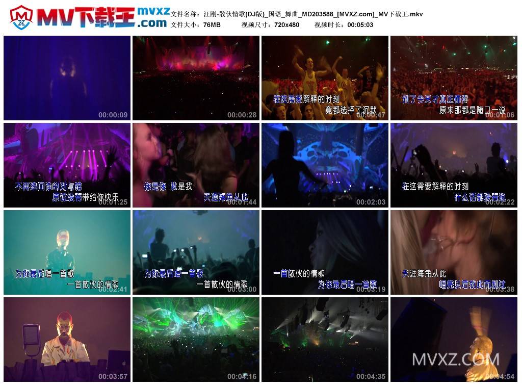 汪刚-散伙情歌(DJ版)_国语_舞曲_MD203588